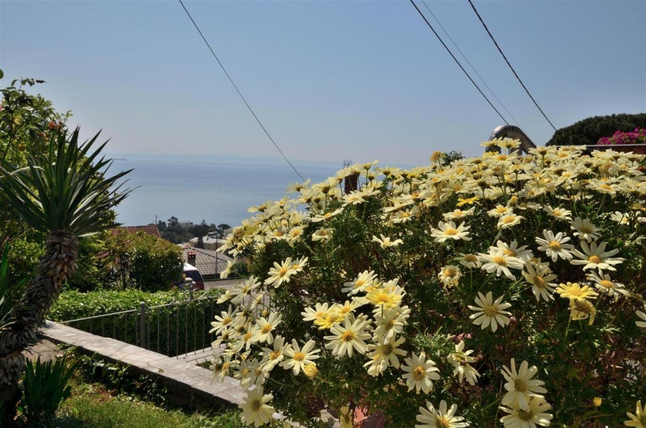 Apartment Relax Opatija Bagian luar foto
